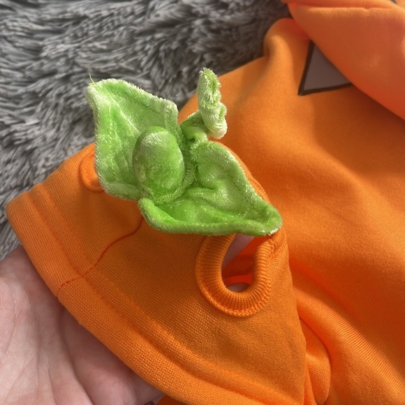 Hyde and Eek! Reflective Jack-O-Lantern Pet Hoodie - Picture 5 of 11